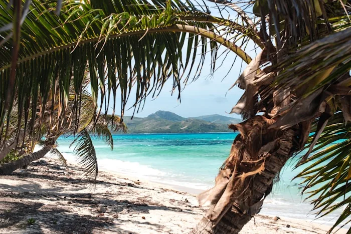 Palm trees over a white sand beach and turquoise water in Fiji