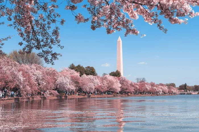 Washington DC